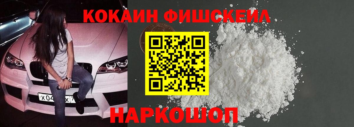 купить наркотики цена  Вход с VPN  Якутск  Cocaine  COCAIN FishScale  Кокаин FishScale 