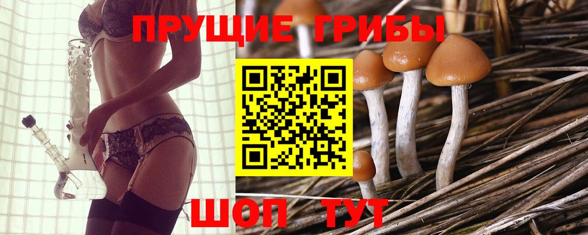 Якутск  Псилоцибиновые грибы Psilocybine cubensis  Галлюциногенные грибы ЛСД  где можно купить   Вход с VPN 